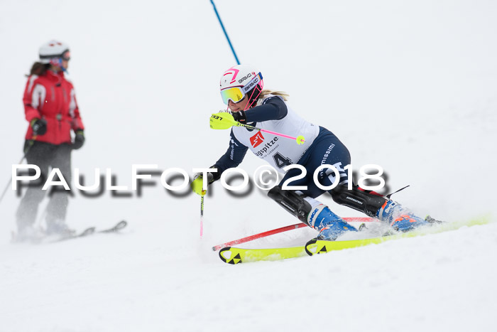 5. BZB CUP SL; WFM 2018