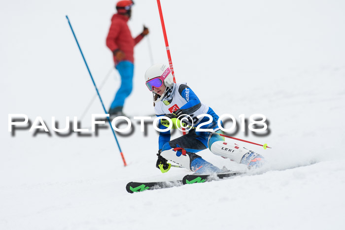 5. BZB CUP SL; WFM 2018