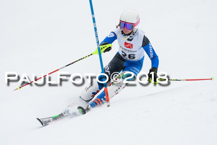 5. BZB CUP SL; WFM 2018