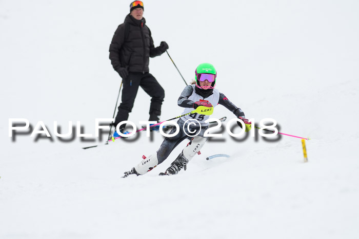 5. BZB CUP SL; WFM 2018