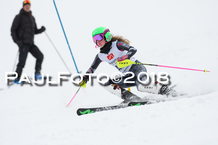 5. BZB CUP SL; WFM 2018