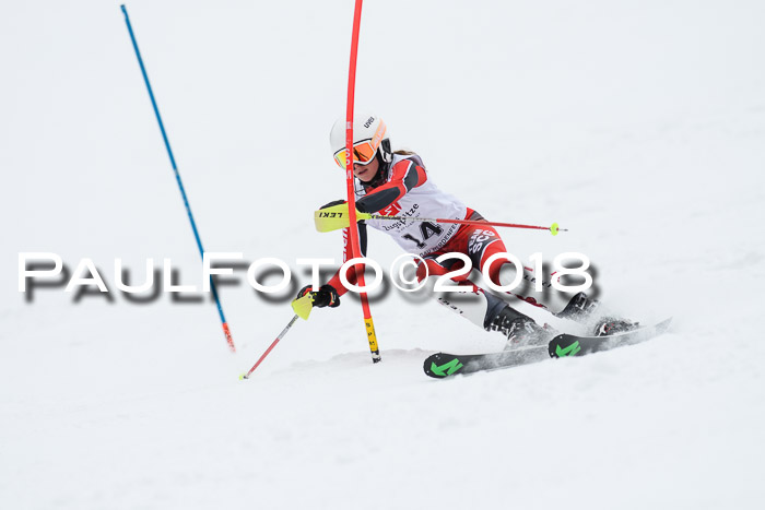5. BZB CUP SL; WFM 2018