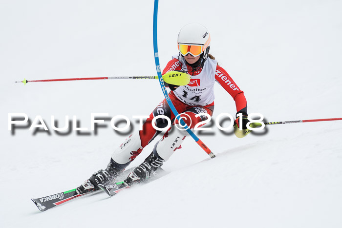 5. BZB CUP SL; WFM 2018