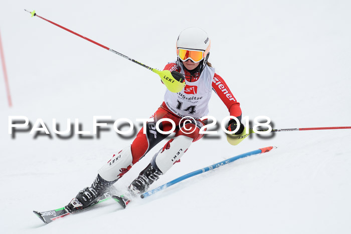 5. BZB CUP SL; WFM 2018
