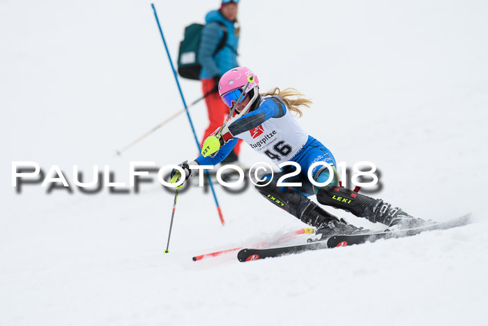 5. BZB CUP SL; WFM 2018