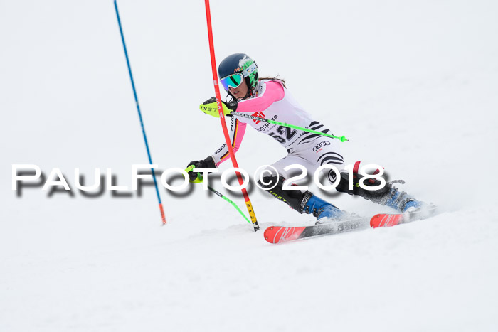 5. BZB CUP SL; WFM 2018
