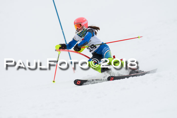 5. BZB CUP SL; WFM 2018