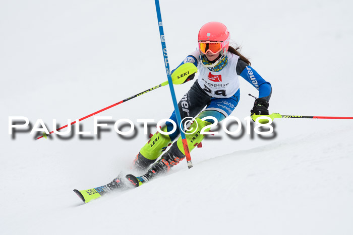 5. BZB CUP SL; WFM 2018