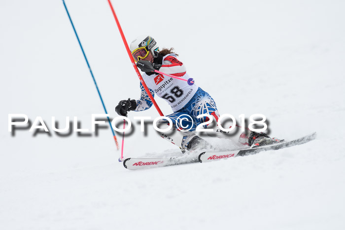 5. BZB CUP SL; WFM 2018