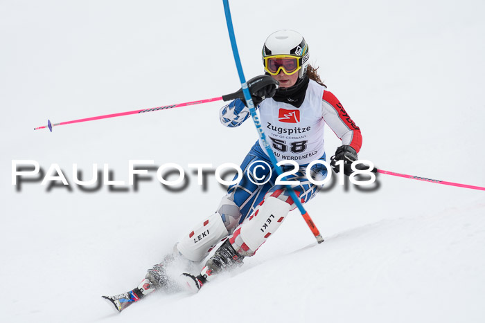 5. BZB CUP SL; WFM 2018