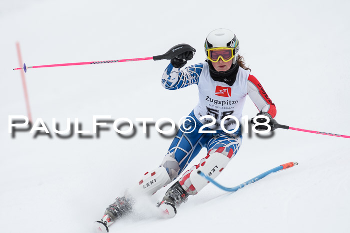 5. BZB CUP SL; WFM 2018