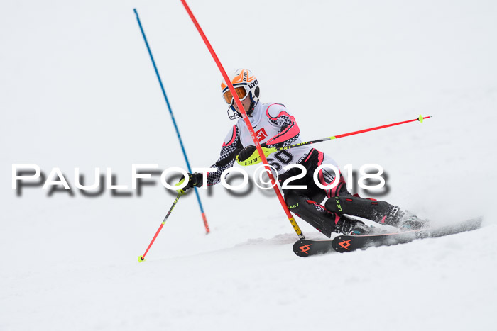 5. BZB CUP SL; WFM 2018