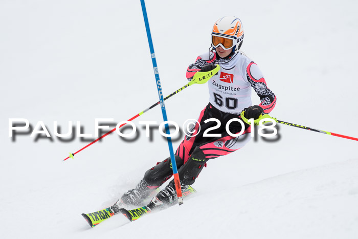 5. BZB CUP SL; WFM 2018