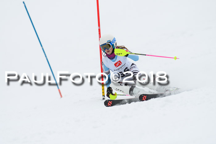 5. BZB CUP SL; WFM 2018