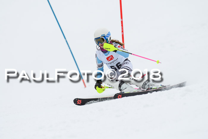 5. BZB CUP SL; WFM 2018