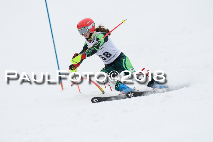 5. BZB CUP SL; WFM 2018