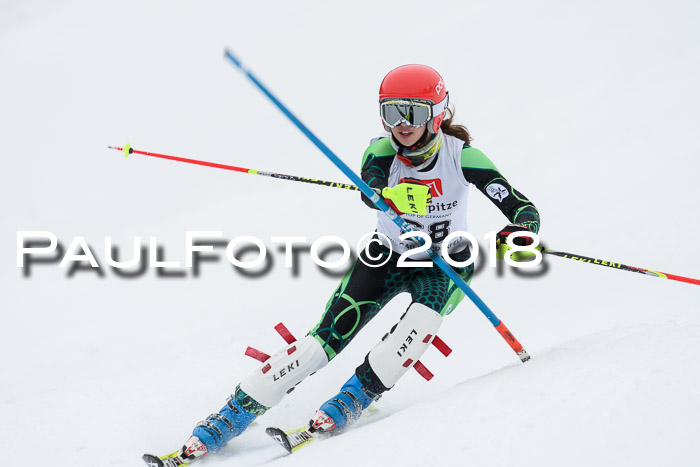 5. BZB CUP SL; WFM 2018