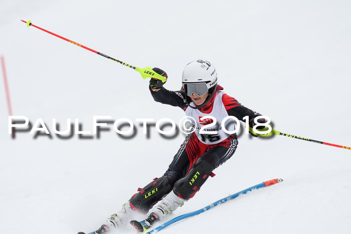 5. BZB CUP SL; WFM 2018