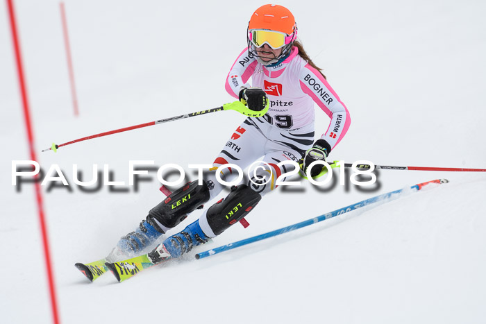 5. BZB CUP SL; WFM 2018