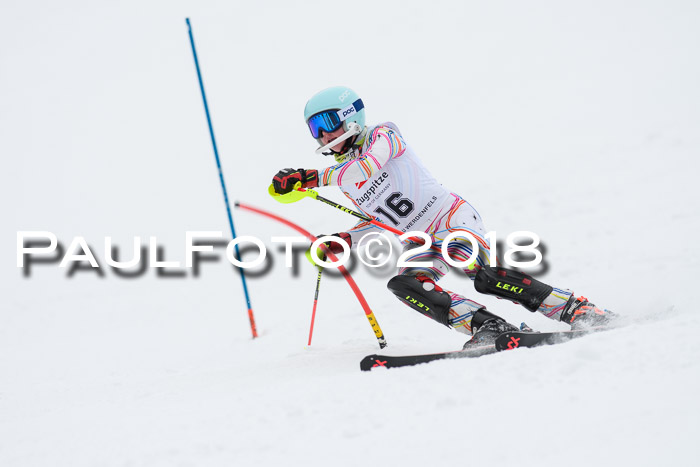 5. BZB CUP SL; WFM 2018
