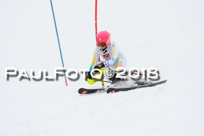 5. BZB CUP SL; WFM 2018