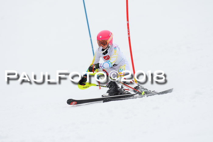 5. BZB CUP SL; WFM 2018