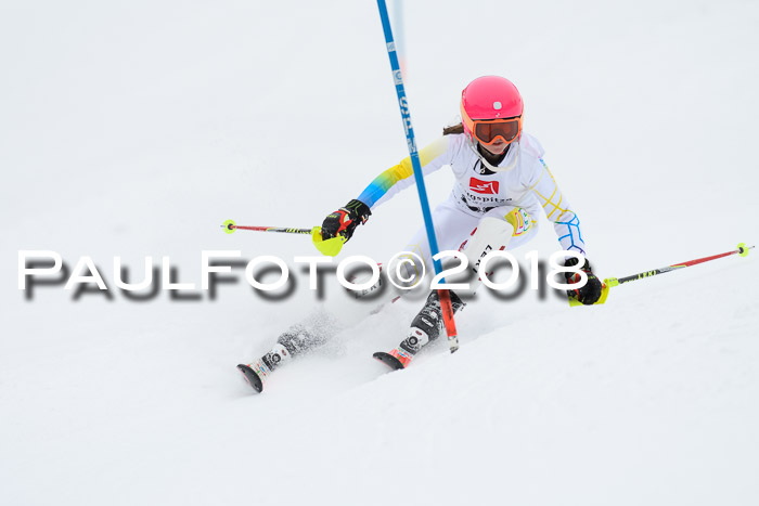 5. BZB CUP SL; WFM 2018