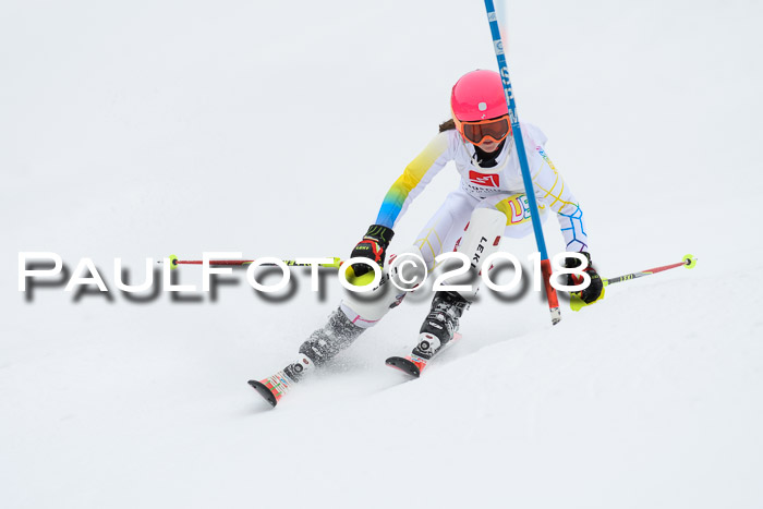 5. BZB CUP SL; WFM 2018