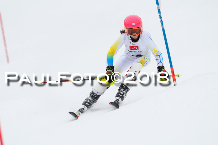 5. BZB CUP SL; WFM 2018