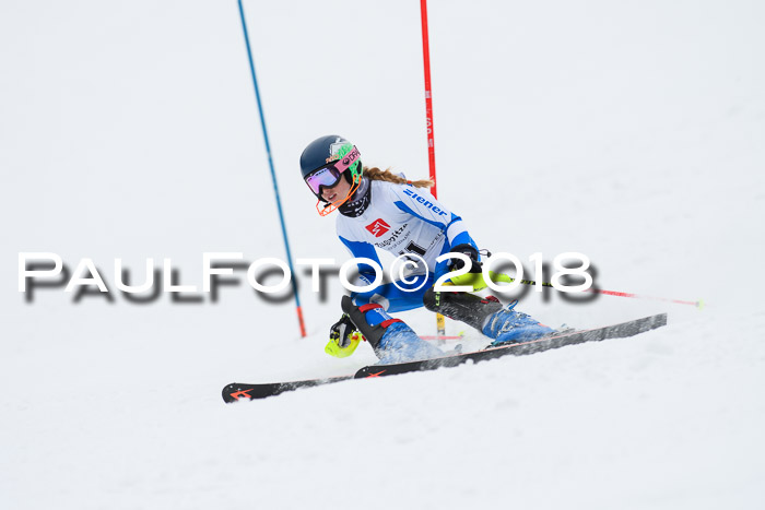 5. BZB CUP SL; WFM 2018