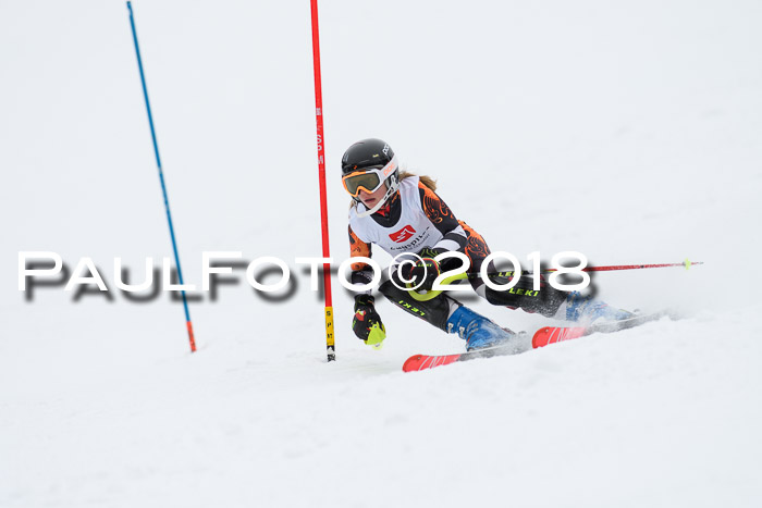 5. BZB CUP SL; WFM 2018