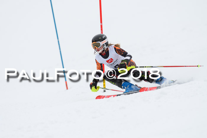 5. BZB CUP SL; WFM 2018