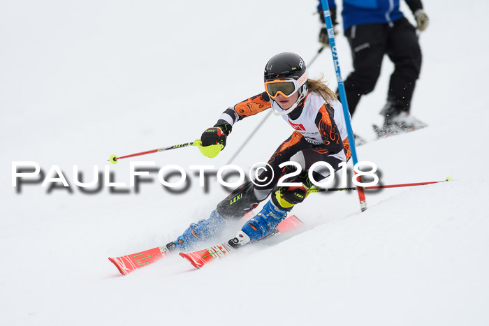 5. BZB CUP SL; WFM 2018
