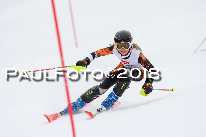 5. BZB CUP SL; WFM 2018