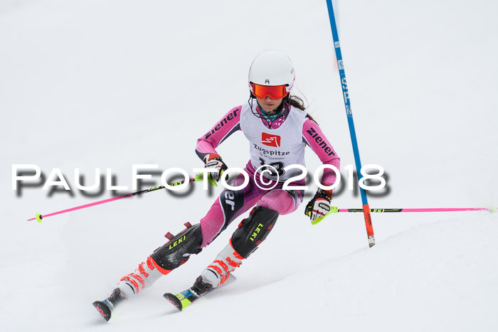 5. BZB CUP SL; WFM 2018