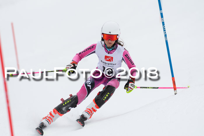 5. BZB CUP SL; WFM 2018