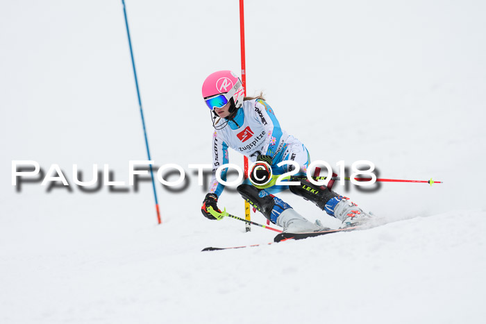 5. BZB CUP SL; WFM 2018