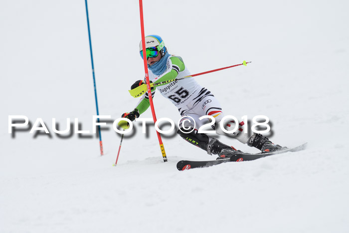 5. BZB CUP SL; WFM 2018