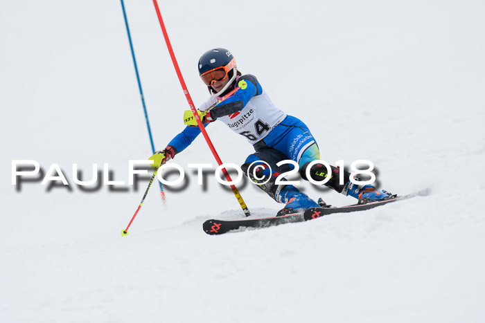 5. BZB CUP SL; WFM 2018