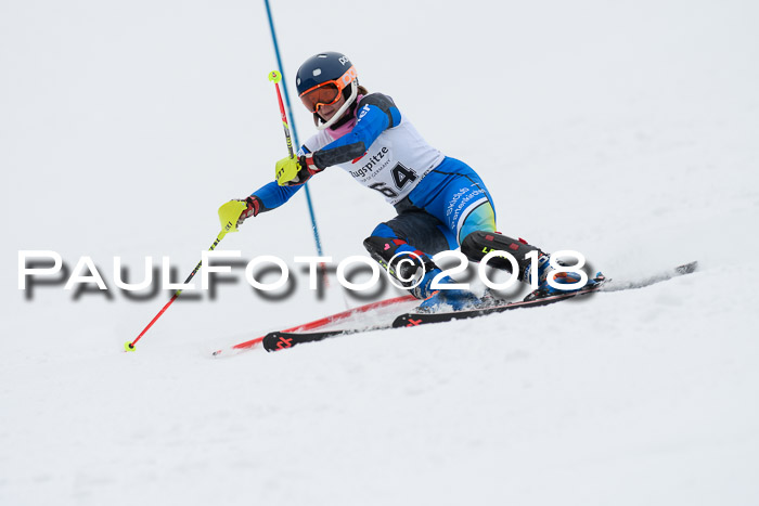 5. BZB CUP SL; WFM 2018