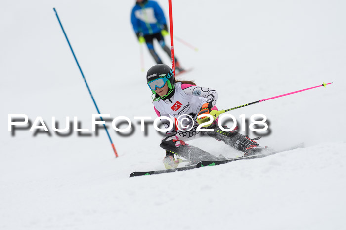 5. BZB CUP SL; WFM 2018