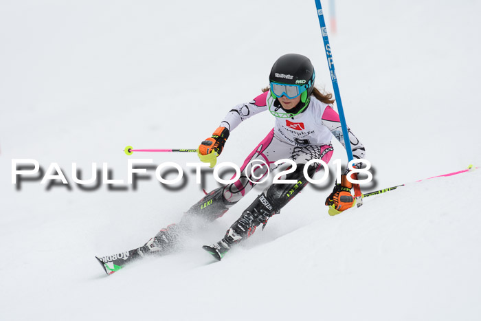 5. BZB CUP SL; WFM 2018