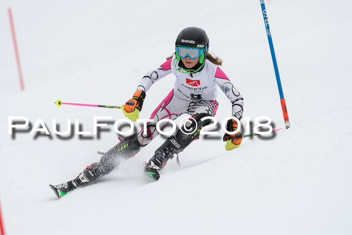 5. BZB CUP SL; WFM 2018