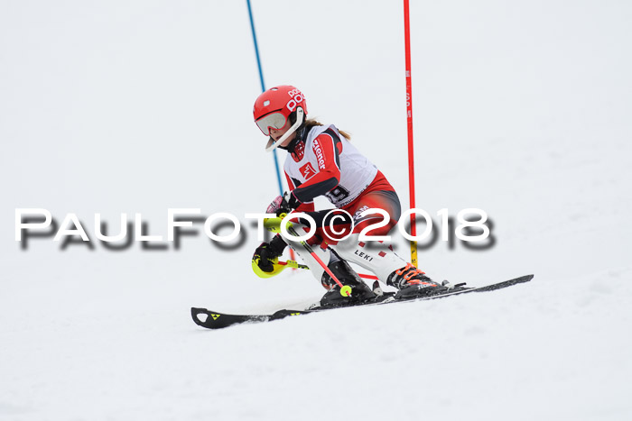5. BZB CUP SL; WFM 2018