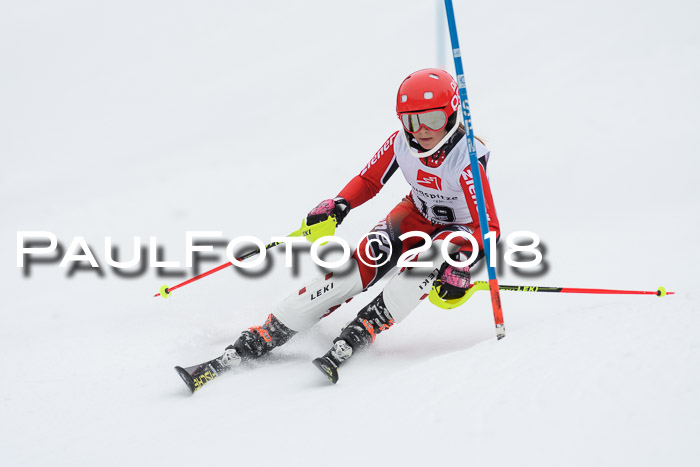 5. BZB CUP SL; WFM 2018