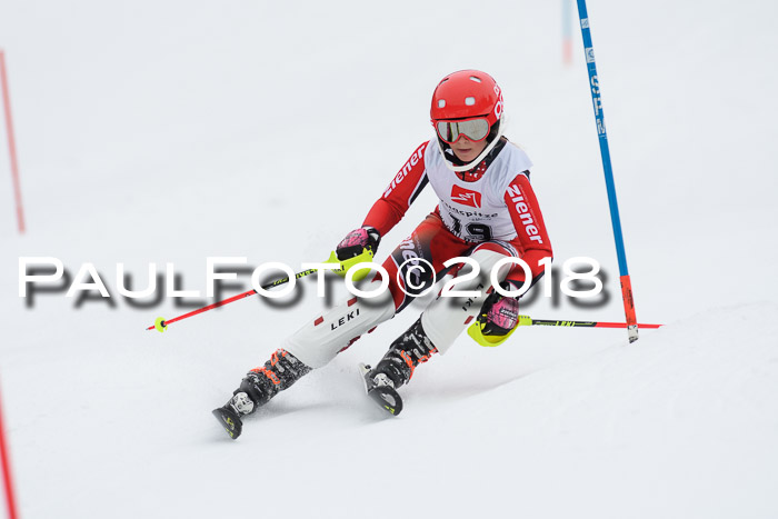 5. BZB CUP SL; WFM 2018