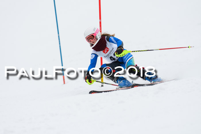 5. BZB CUP SL; WFM 2018