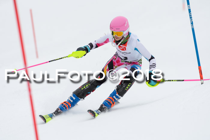 5. BZB CUP SL; WFM 2018