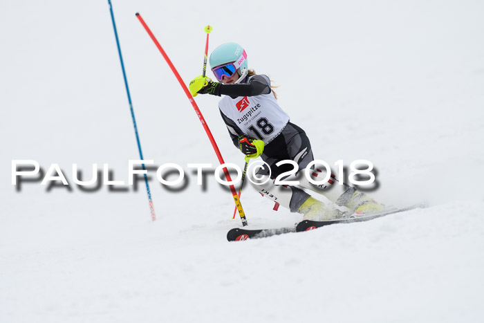 5. BZB CUP SL; WFM 2018