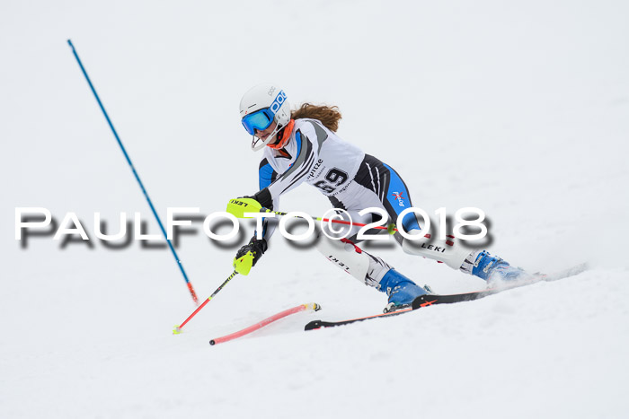 5. BZB CUP SL; WFM 2018